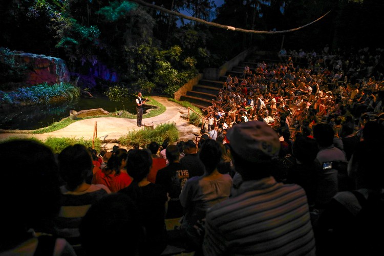夜晚的精灵夜行性动物表演让观众彷佛置身于雨林中，高度互动的表演更博得热烈的喝彩，是园区内非常受欢迎的节目。
