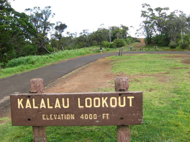 走向卡拉劳山谷中心的瞭望台（Kalalau Lookout）吧！