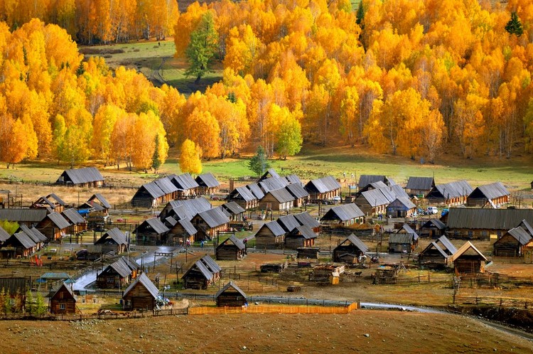 秋天的禾木村是北疆最美的一幅景致。