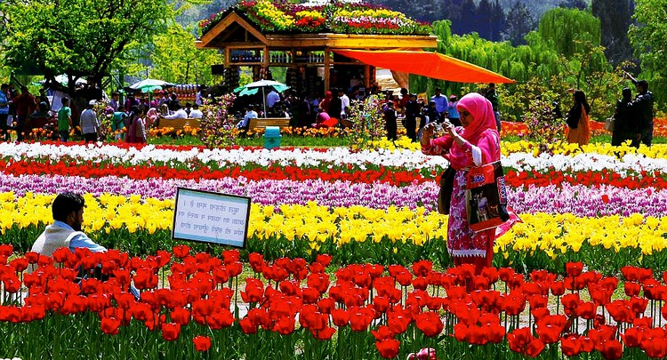 9. Mughal Garden（Srinagar) Visiting Chasma Shahi (Royal Spring), Nishat Bagh (Pleasure Garden) and Shalimar Bagh (The Abode of Love). These three garden are laid out on the bank of the Dal Lake and command superb view of the valley and the city of Srinagar.