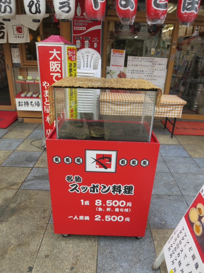 日本也吃鳖，若你也好这一味，不妨一试。