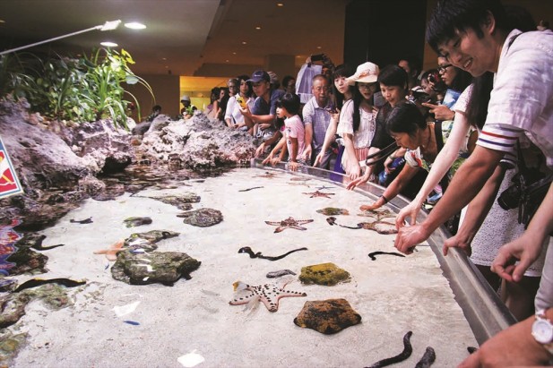 在水族馆中，有好多海星、海参、海蛇、海胆等，供你去触摸。