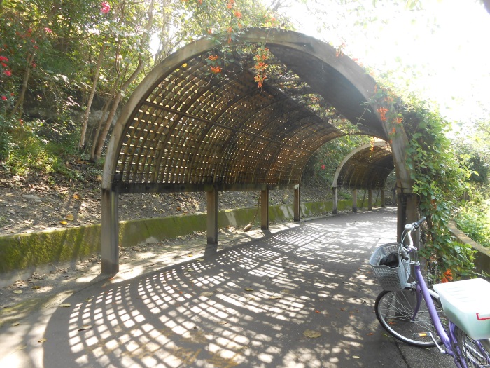 台东森林公园也设有花架隧道，适合一家大小前来散步。