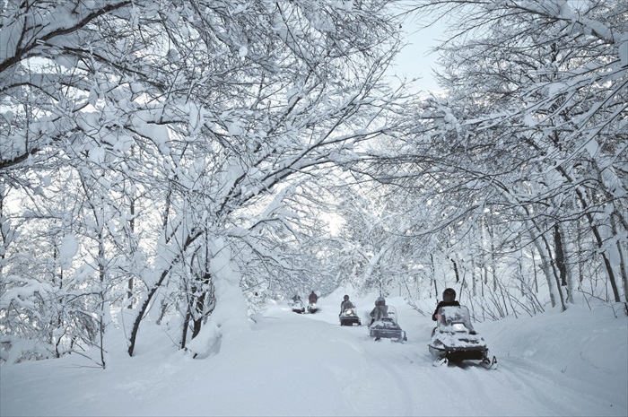 骑乘雪上摩托车穿越北海道的积雪林道，很有童话Feel的画面。