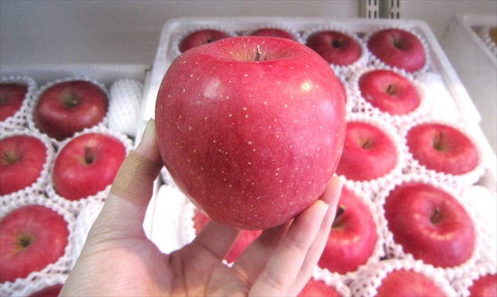 当然，来到东北是不得不一尝当造水果——苹果！让青森的苹果给你味道上的震撼教育吧！