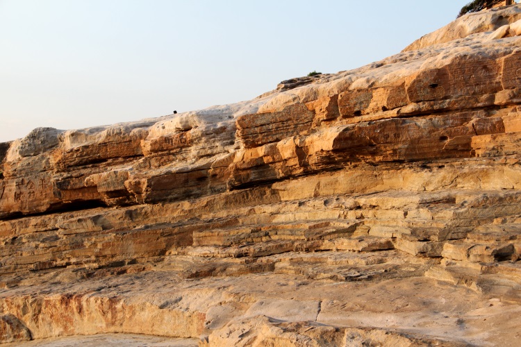 千疊敷，是由砂子凝固而成的岩石。