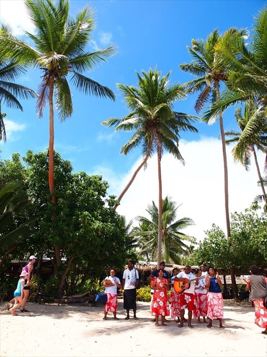 岛上的欢迎仪式。椰树，是热带型气候的代表。