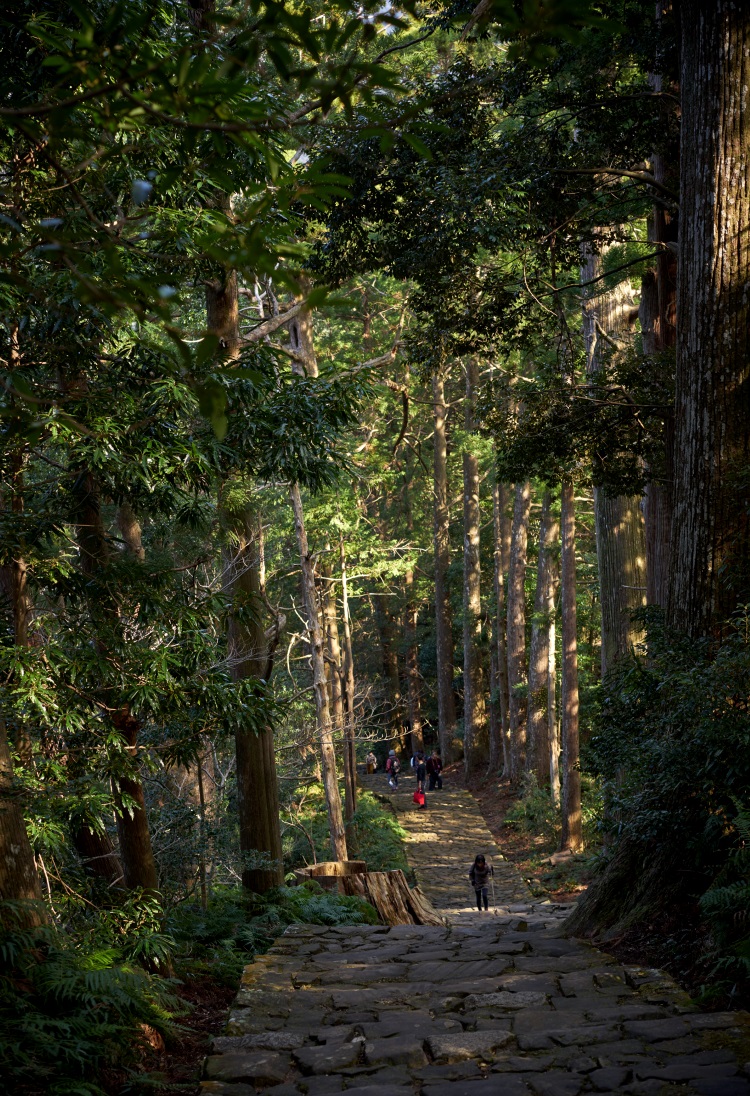 熊野古道，是人们为了能从人世更加接近神佛居住的静域的修行场所，千多年以來与沿途的山岳森林结成一体。