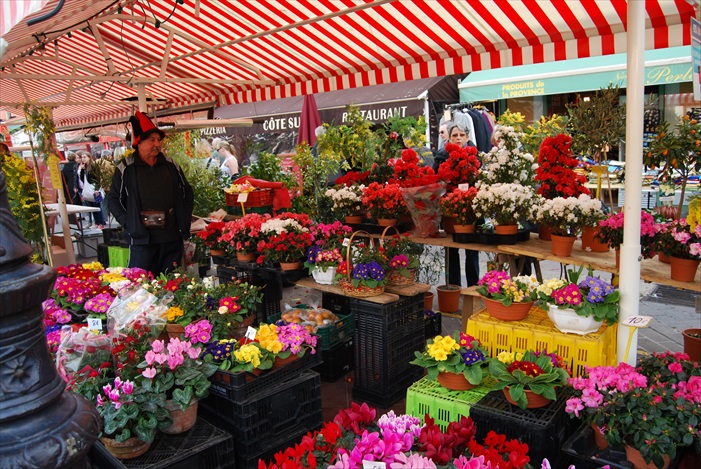 花香满溢，莎莱雅广场里的花卉市场。