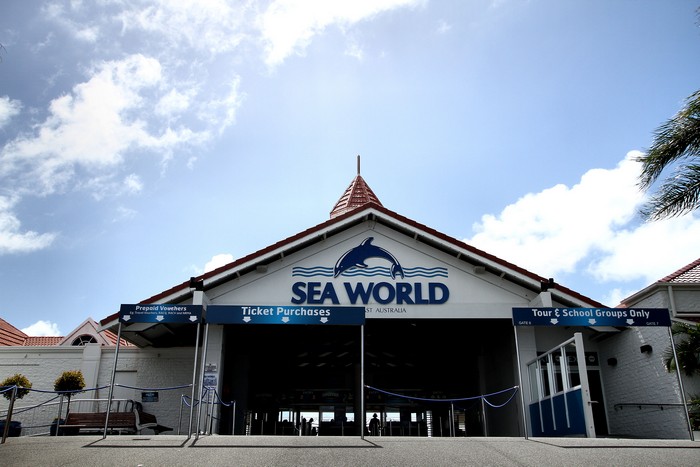 海洋世界（Sea World）号称是南半球最大的海洋公园。