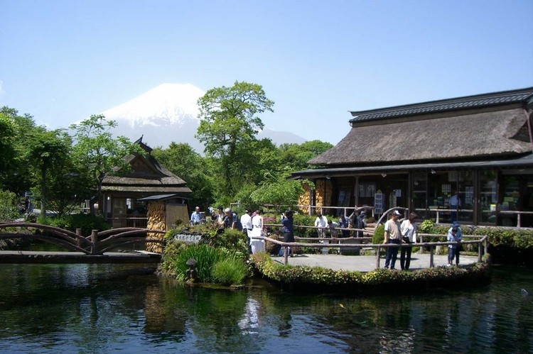 位于富士山下，为国家指定天然纪念物的忍野八海，被选入“日本名水百选”。