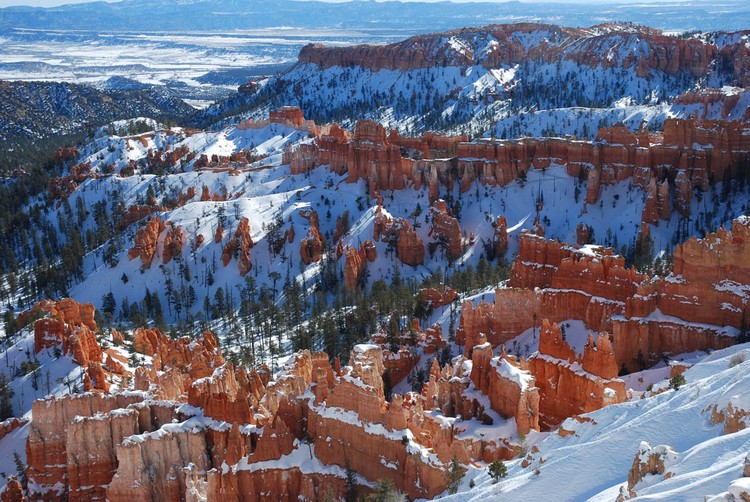 红色峡谷里奇形怪状的石柱上都叠着一层白雪。
