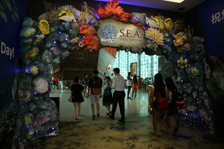足东南亚海洋馆，透过全球最大的海洋之窗寻幽探秘，为奥妙多姿的海中奇境所震撼。