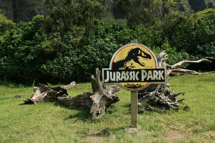 这里可是电影《侏罗纪公园》的取景地哟！