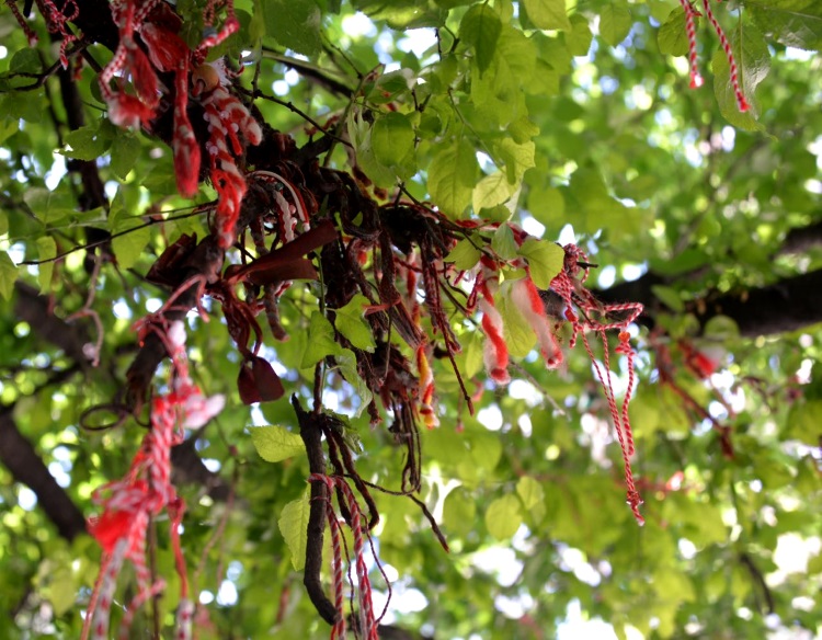 保加利亚风俗；冬末，把红绳绑在光秃秃的果树枝干上。待春来，嫩叶花瓣果实长成；象征万物之灵，以我为生！