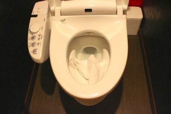 懂多一点：日本的厕纸遇水可溶解，所以要把它扔进马桶里才是正确的。