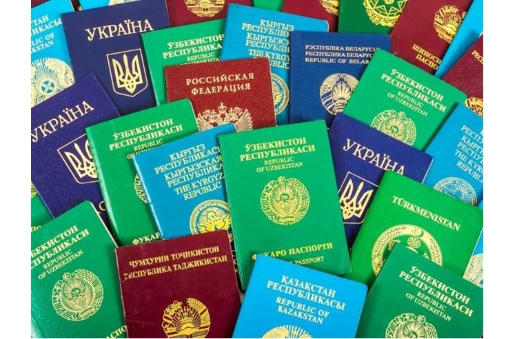 为什么护照只有红蓝绿黑四色？ （图／Business Insider）