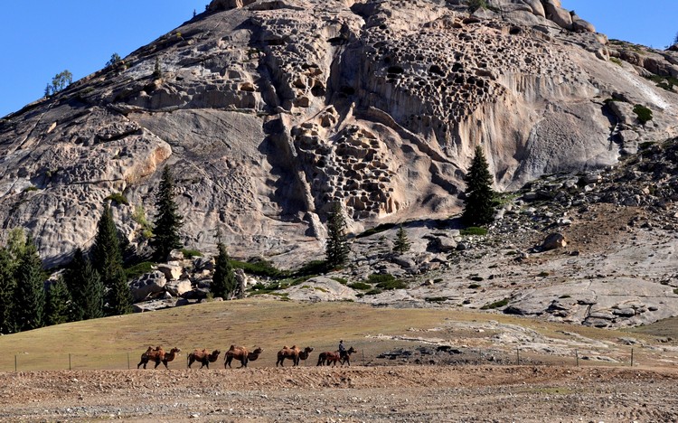 飞来峰下的骆驼列队行走，别有一番观景滋味。