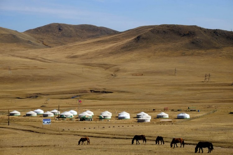 大草原上有许多蒙古包。