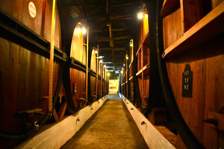 Taylor’s葡萄酒厂。