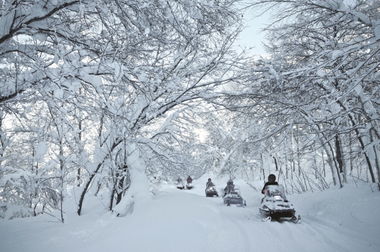 冬恋白の北海道 · 惊险刺激的雪上摩托车