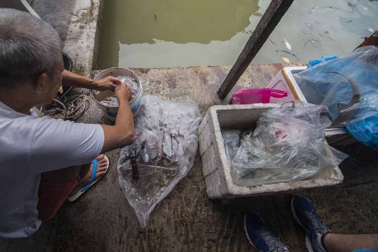 在码头，可见等候顾客买海鲜的渔民，图为老渔民正在清洗墨鱼。