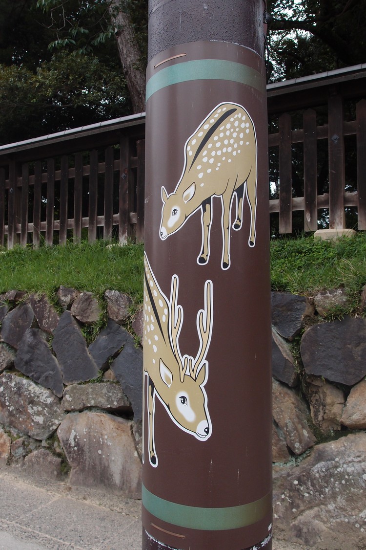 鹿图腾，奈良市的标志。