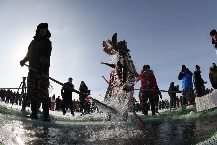 查干湖冬捕，是拥有中国国家级非物质文化遗产名衔的冬季鱼猎活动。