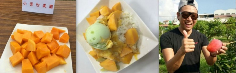 mango dessert