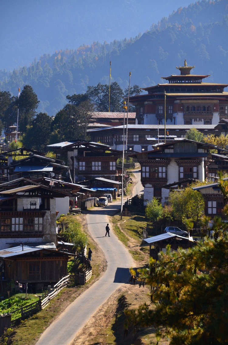 Gangtey Goempa 就在进入岡帖谷地的山上。