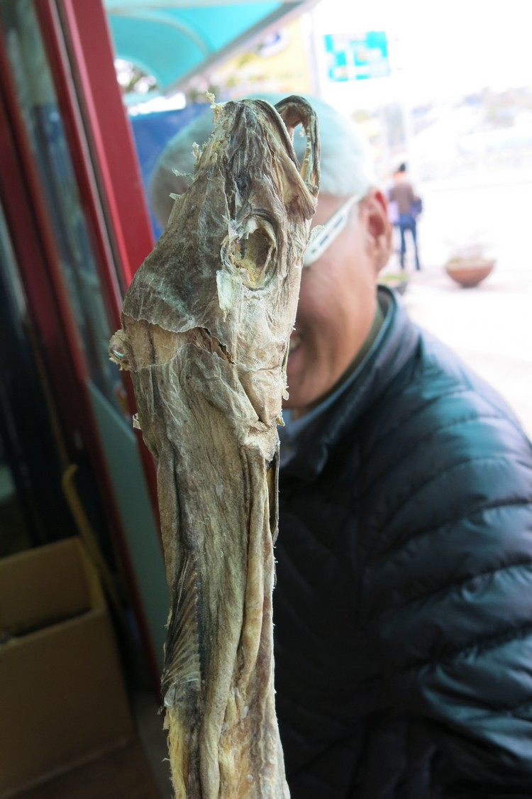 黄太鱼的前身是身形成长条状的黄线狭鱈。