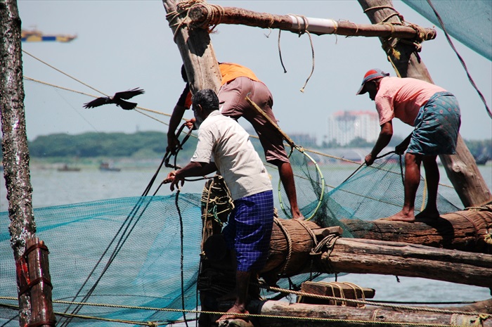 渔民齐心合力把渔网捞起。