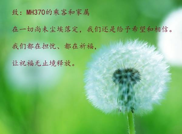 wishes for MH370