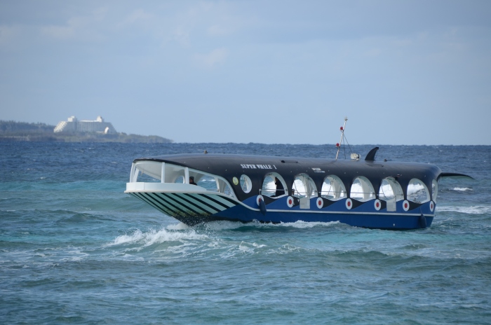 鲸鱼造型玻璃船在海上奔驰，非常有型！