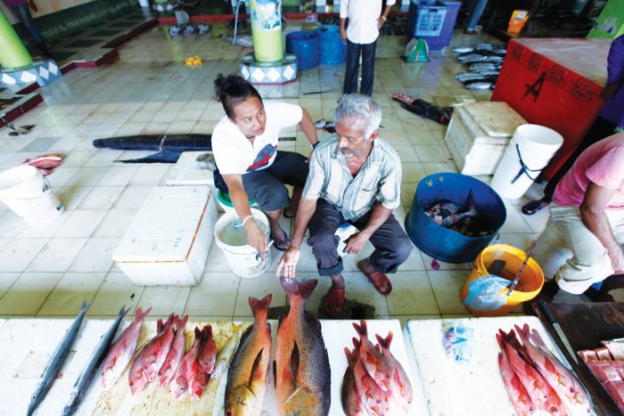 在鱼市场和鱼贩探讨当日早上捕获的大鱼。