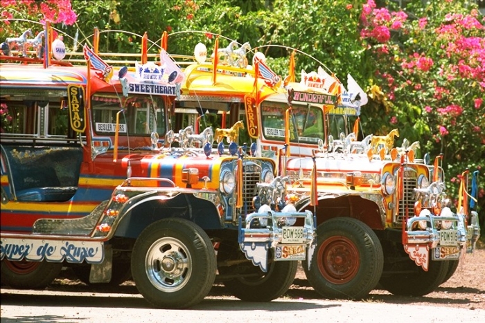 马尼拉满大街都是jeepney，这都是以前美国大兵留下的军用jeep改造而成的，现在是街上普遍的公共交通工具之一。