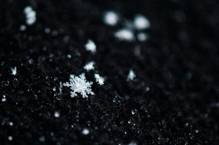 北海道的降雪时，轻飘飘的，但如果你身穿深色外衣，你就会看到雪的花的真面目。