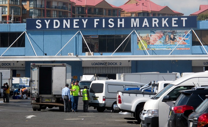 悉尼鱼市场是大洋洲最大的批发、零售、餐饮一体的鱼市场。
