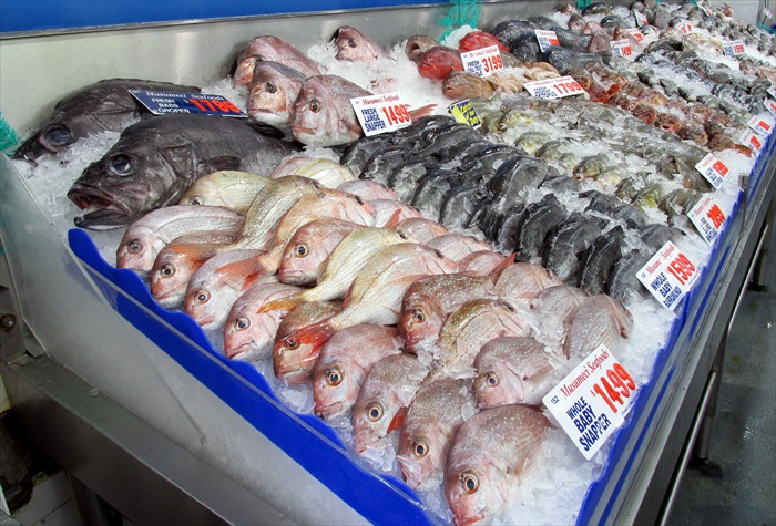 海鲜以种类和体型整齐排列，方便顾客作选择。