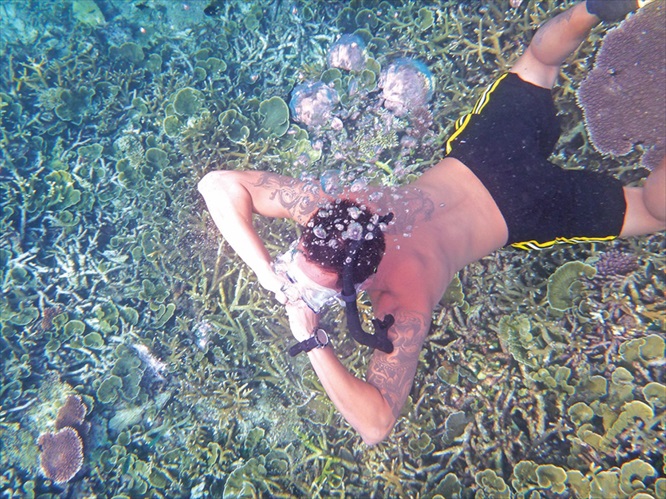 来到热浪岛，当然要潜入蔚蓝的海底世界。