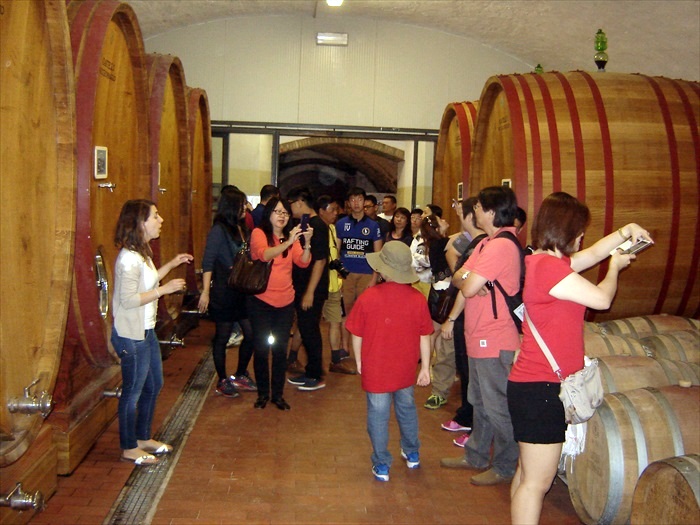 解说员都竭尽所能，让游客更能后了解如何酿制甘醇的葡萄酒。