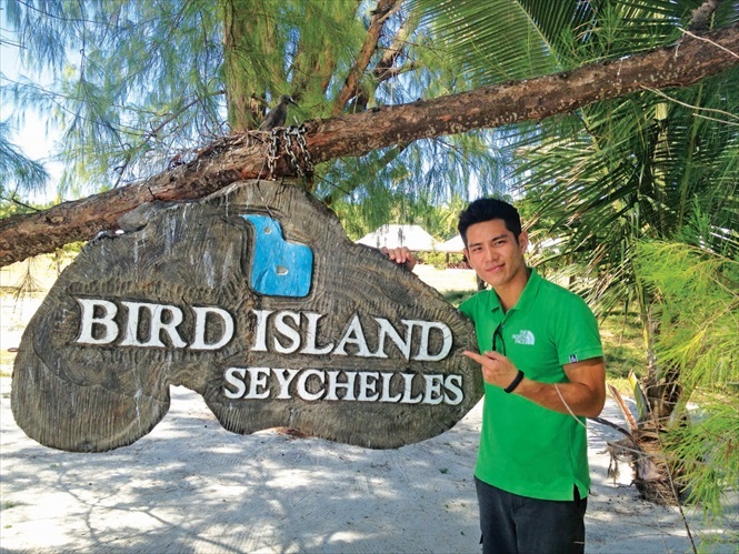 Bird Island岛上有着四百万只鸟类。