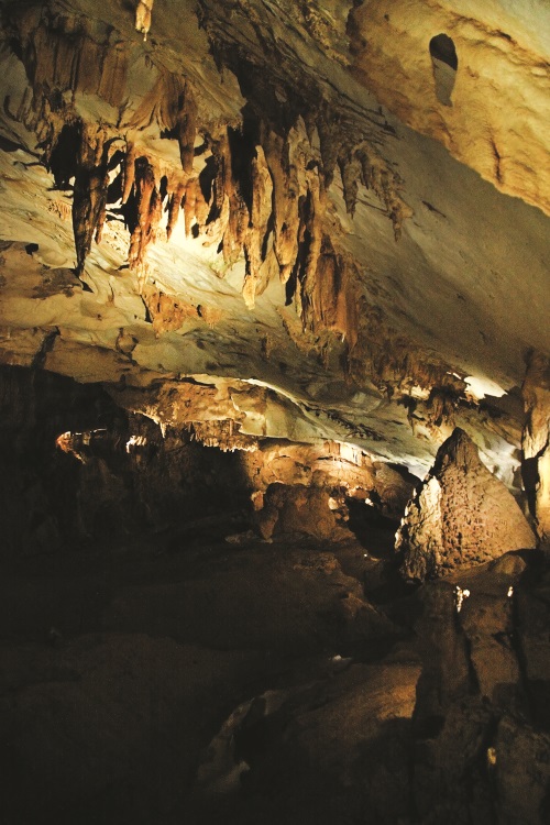 山洞里有着各种奇形怪状的钟乳石，非常值得游客一看。